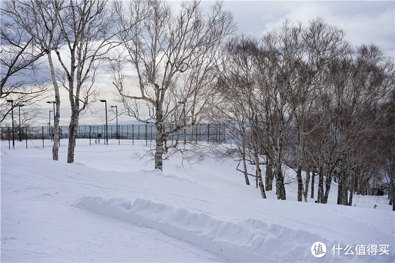 冬季北海道初体验之洞爷湖温莎温泉度假村