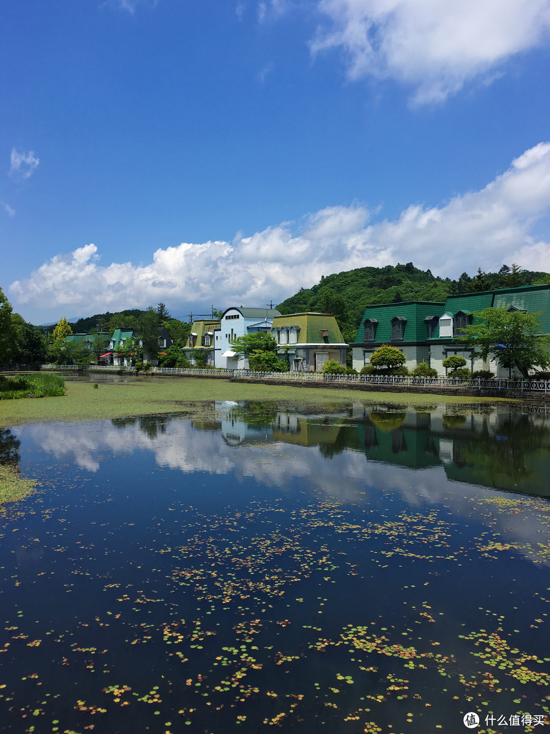 一次冲动预定引发的东京周边13日游