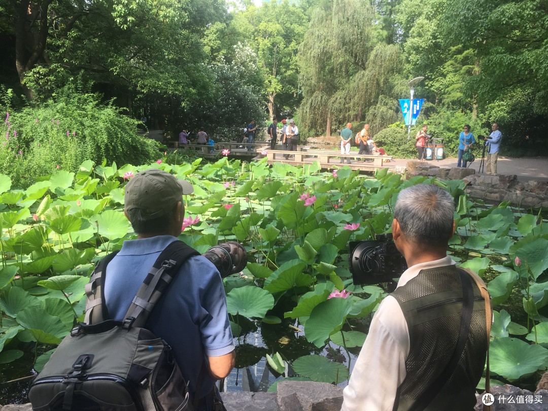 观上海国际电影节之乱步上海 游记