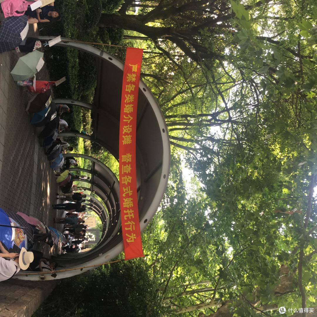观上海国际电影节之乱步上海 游记