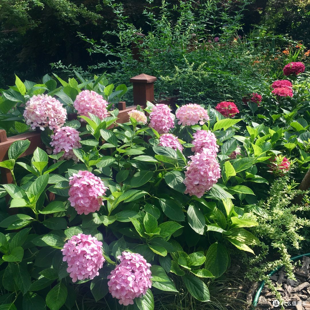 观上海国际电影节之乱步上海 游记
