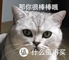 如何给猫主子拍照