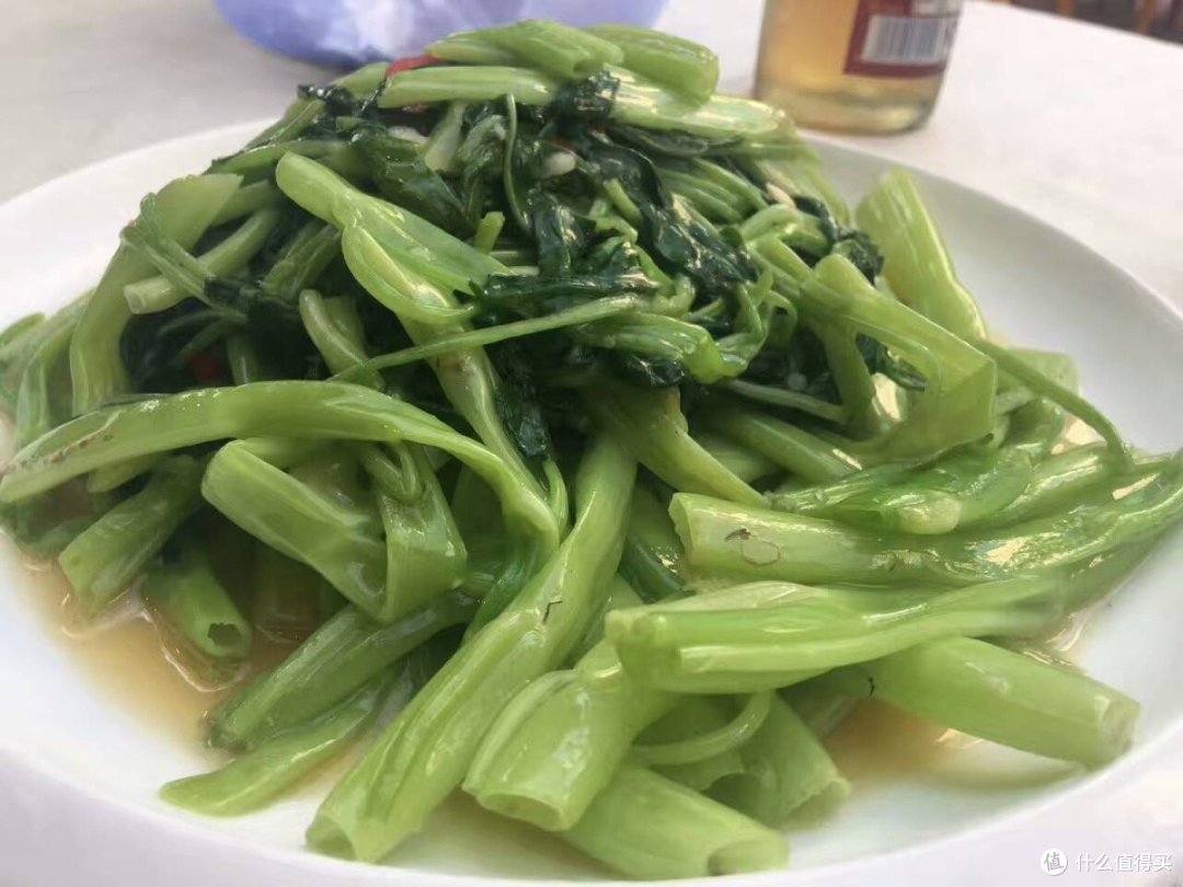 把每次回家都当成一次旅游
