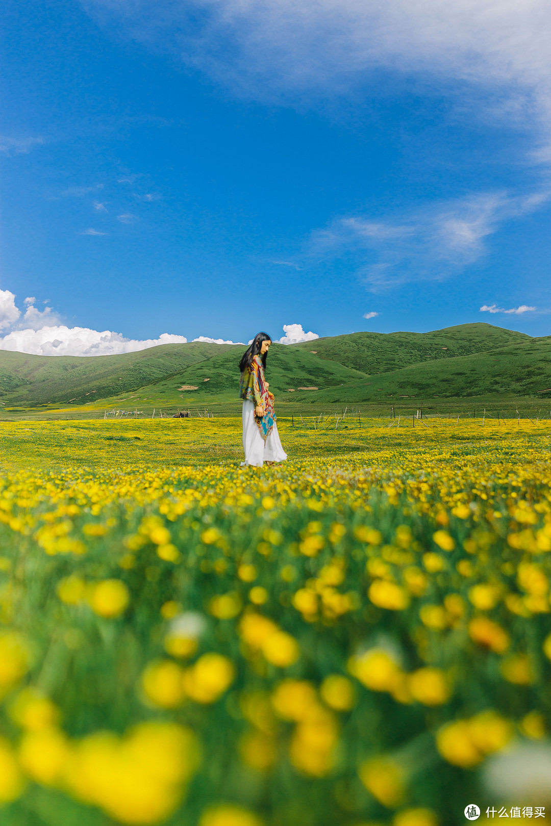 记一段若尔盖大草原自驾"自拍"婚纱之旅（超多图）