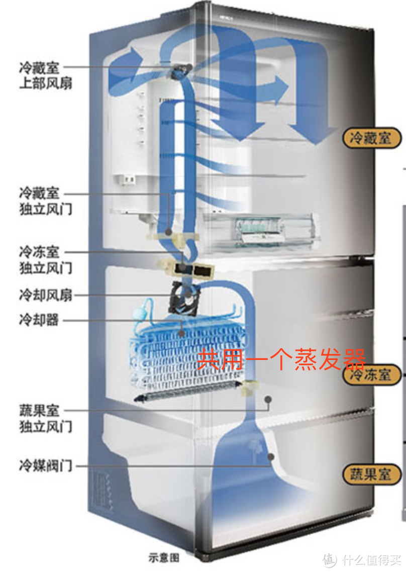 #翻个冰箱#选购干货！最强冰箱百科攻略，保鲜效果实证