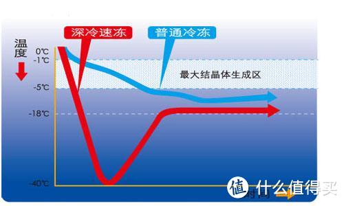 #翻个冰箱#选购干货！最强冰箱百科攻略，保鲜效果实证