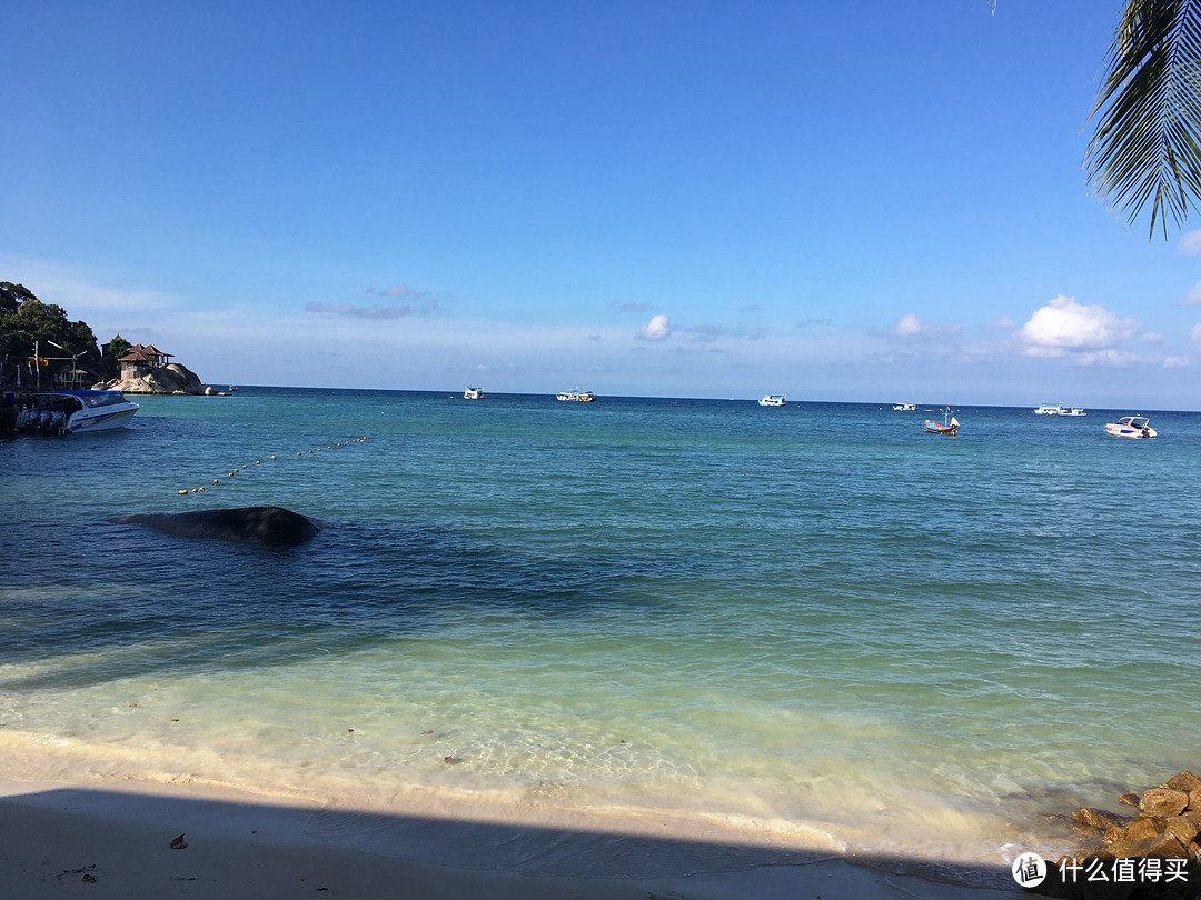 海岛风光—阳光、沙滩和狗