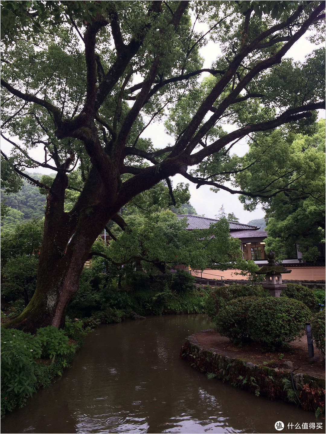 歌诗达赛琳娜号 阳台房升套房