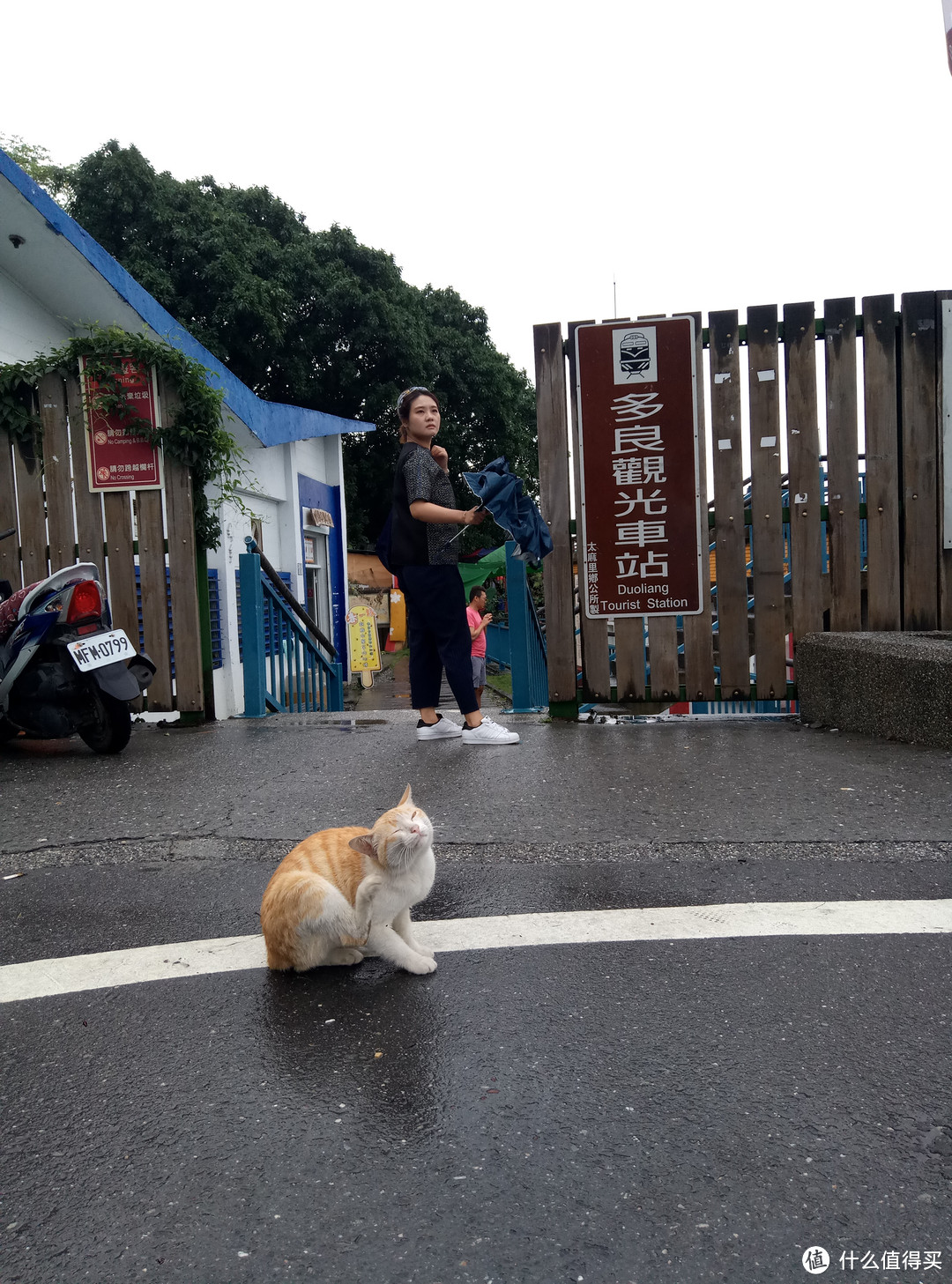 携鸟飞台湾—半搭车半骑行环台湾