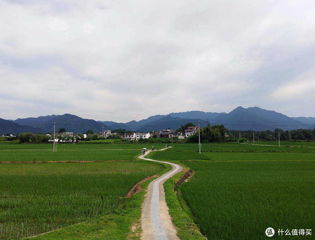 史上最戏剧化的“免费旅行”评测报告？618我等110位素人一起搞事情