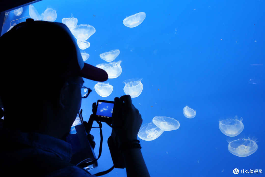 购买全画幅产品和非全画幅到底有什么不同？ 为什么推荐你全幅相机用半幅镜头的要绝交？