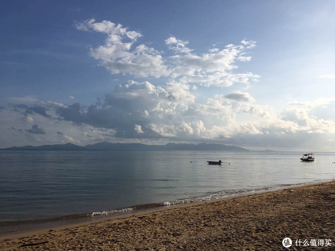 海岛风光—阳光、沙滩和狗