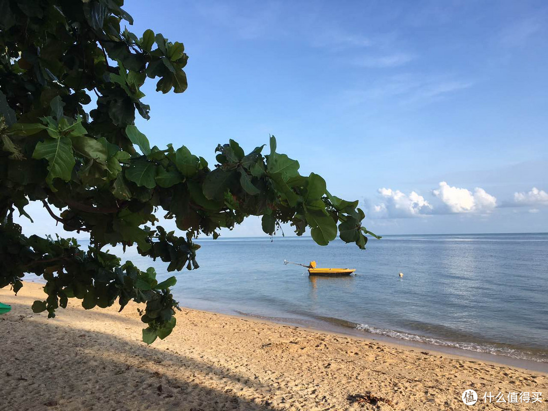 海岛风光—阳光、沙滩和狗