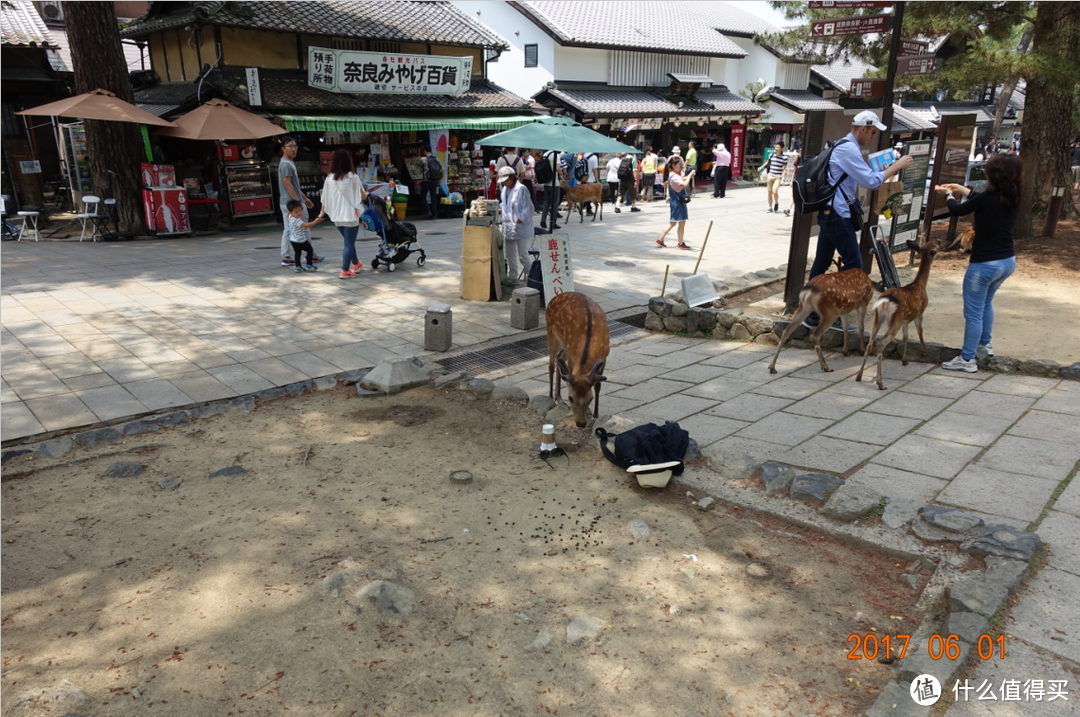 下篇：环球影城+奈良+大阪周游