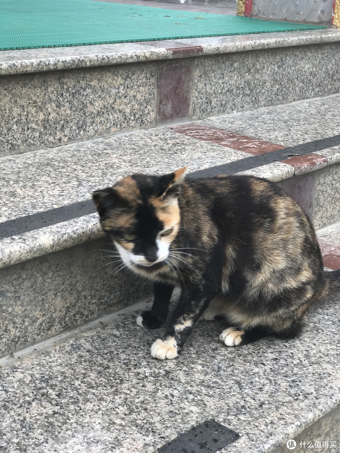 Day2：美林海滩和查龙寺一日游