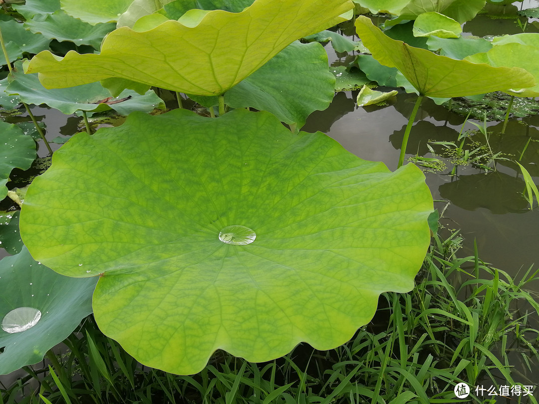 献给父亲的荣耀——荣耀9评测