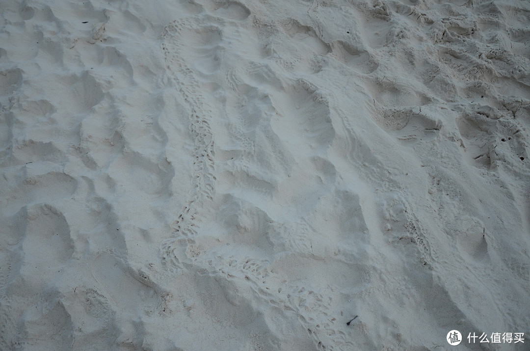 斯米兰的沙，寄居蟹的脚印
