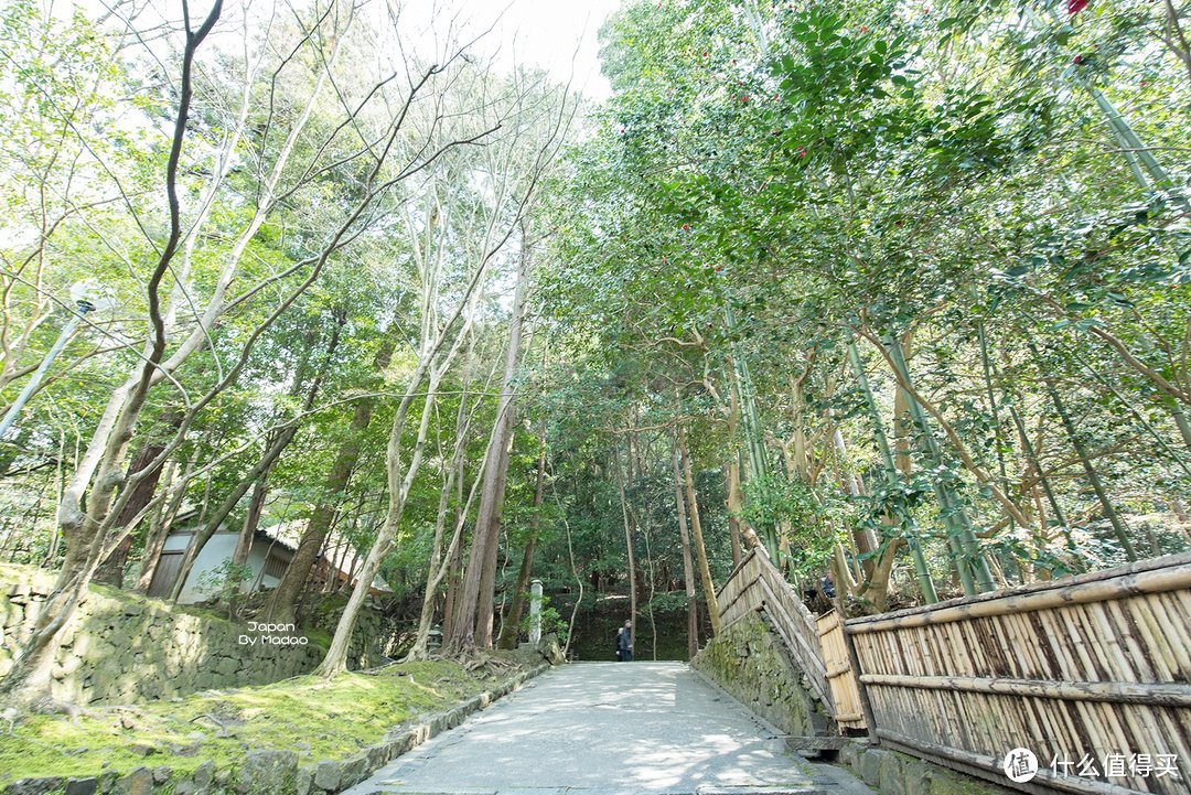 Day.7 哲学之道—四条河原町—清水寺—锦市场