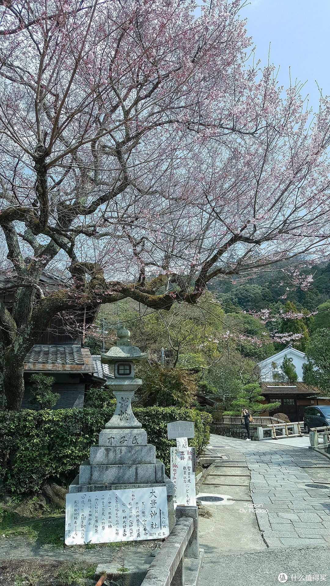 Day.7 哲学之道—四条河原町—清水寺—锦市场