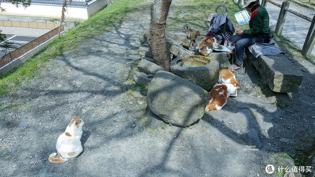 Day.7 哲学之道—四条河原町—清水寺—锦市场