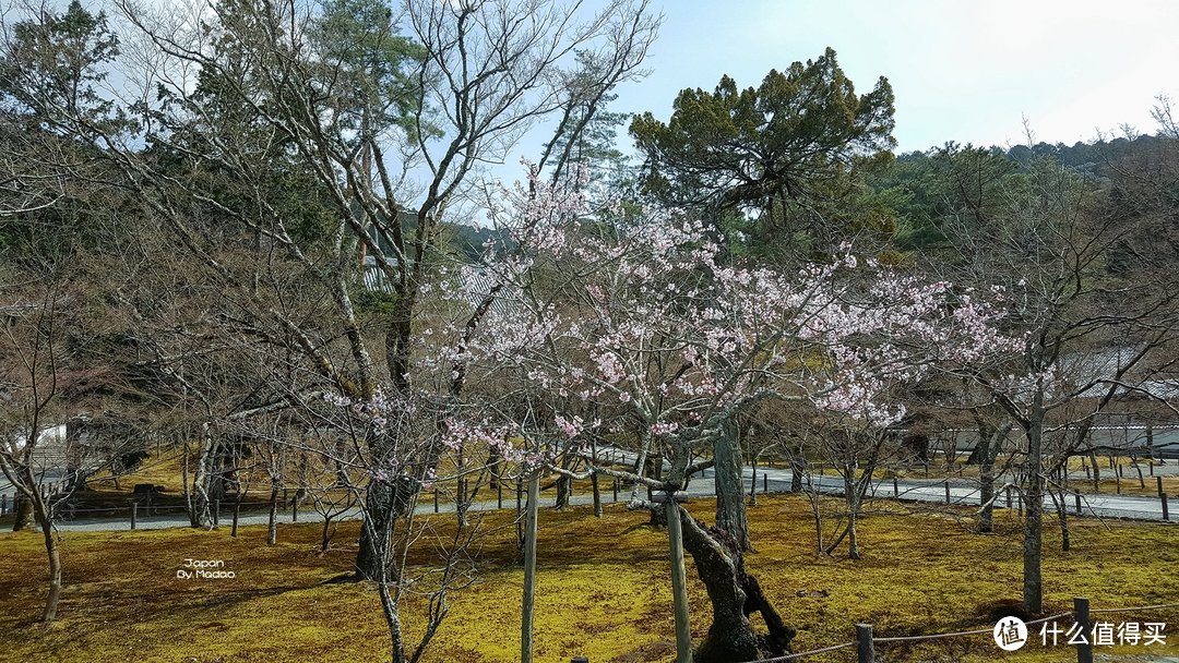 Day.7 哲学之道—四条河原町—清水寺—锦市场