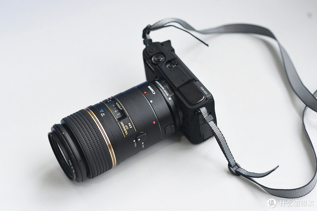 又回到佳能 — Canon M10+腾龙90MM 272E微距镜头晒