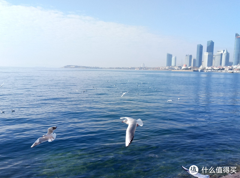 旅游景观之:奥帆中心+第一海水浴场