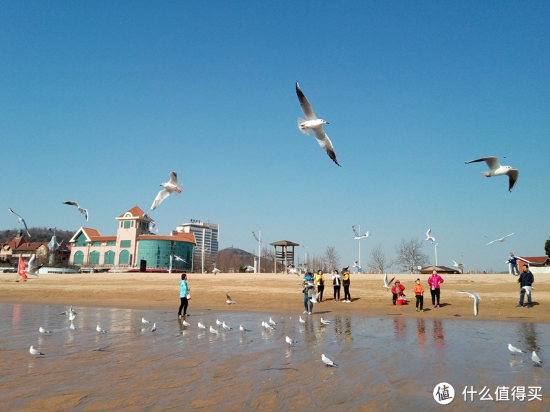 旅游景观之：奥帆中心+第一海水浴场