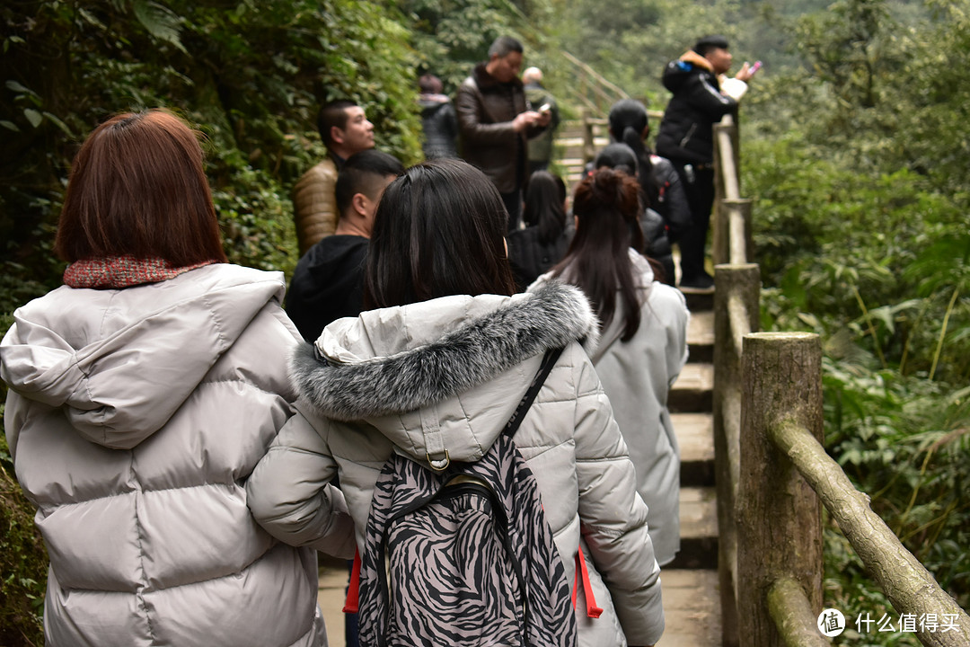 两位漂亮的女生