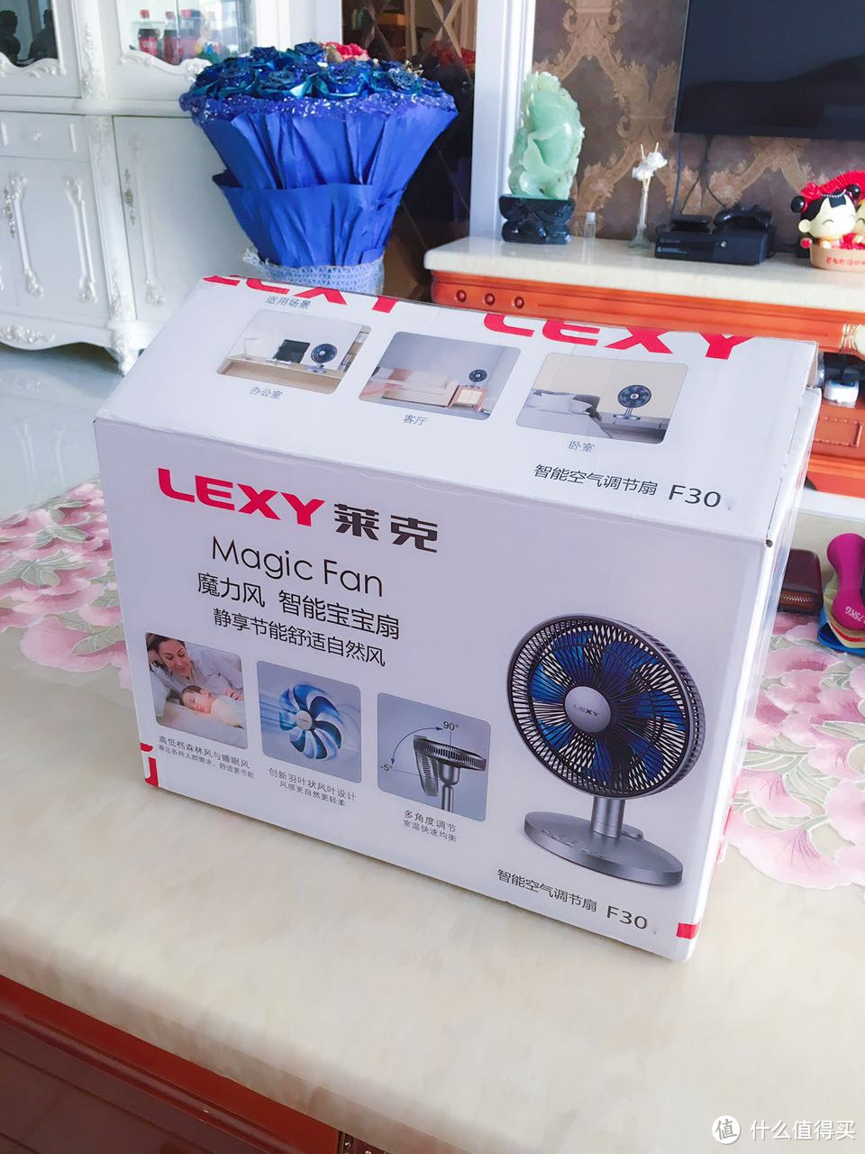 招行积分兑换 — LEXY 莱克 F301 魔力风 开箱