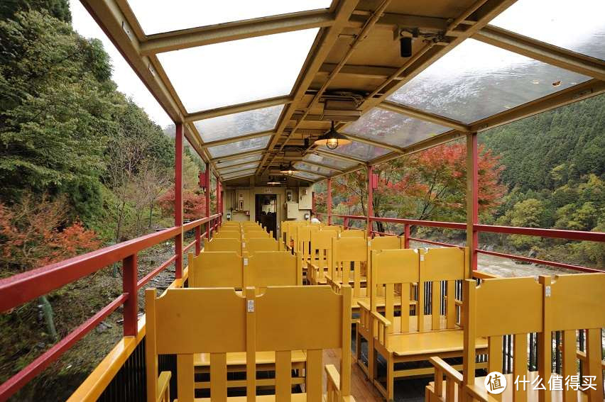 Day.8 嵯峨野—东、西本愿寺—拉面小路—金阁寺