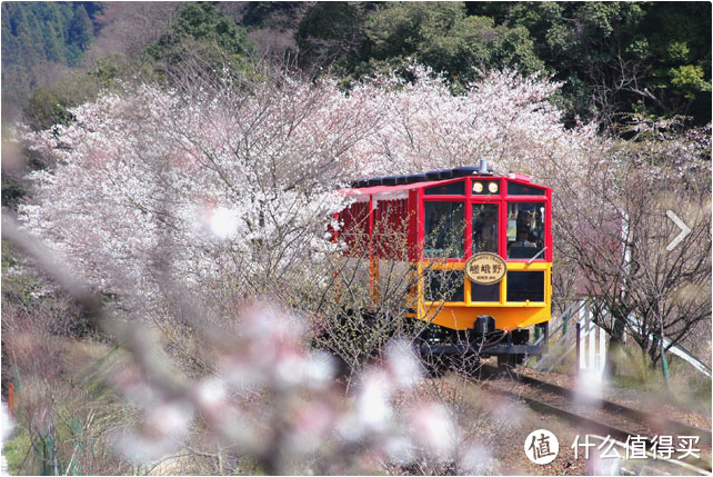 Day.8 嵯峨野—东、西本愿寺—拉面小路—金阁寺