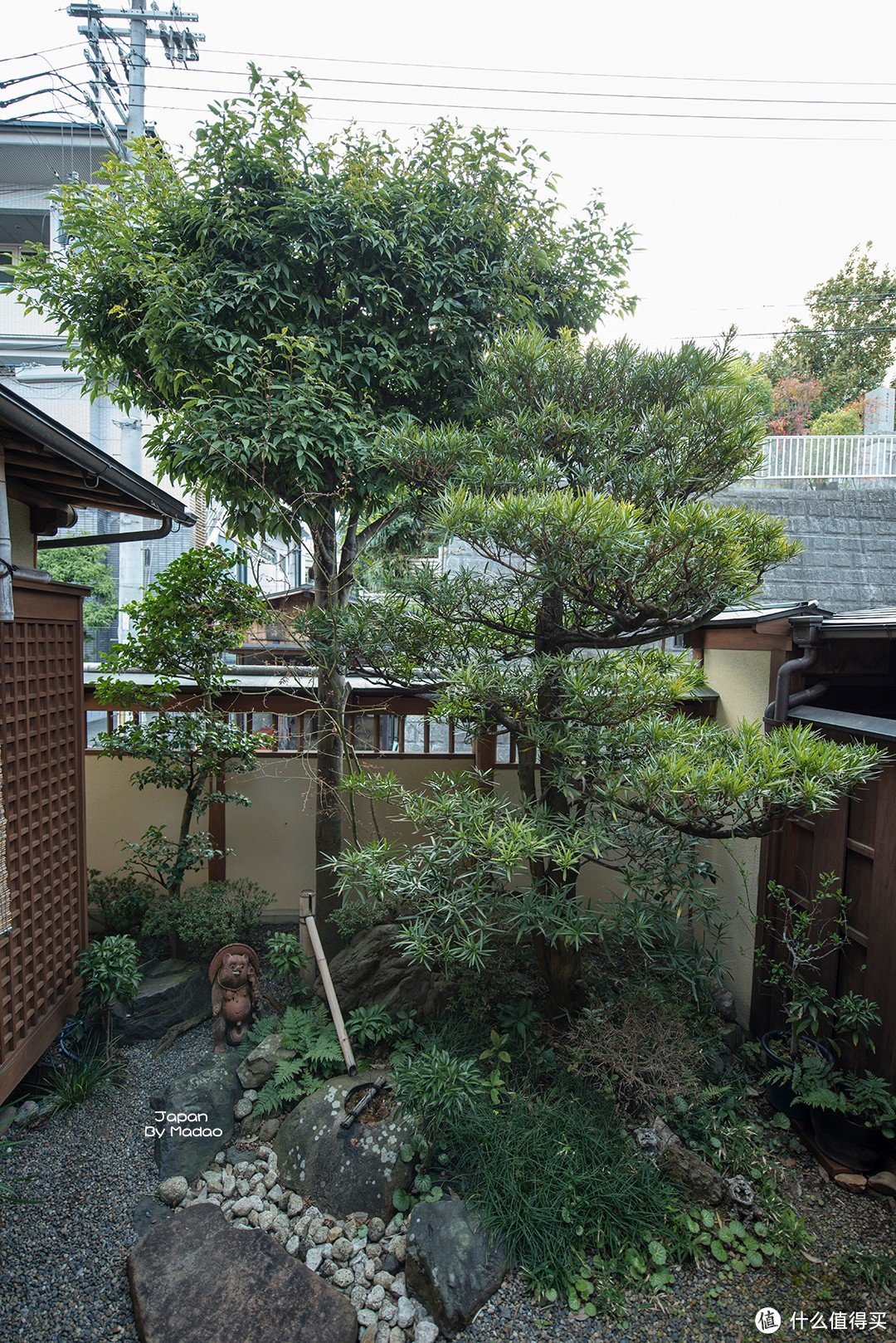 Day.8 嵯峨野—东、西本愿寺—拉面小路—金阁寺