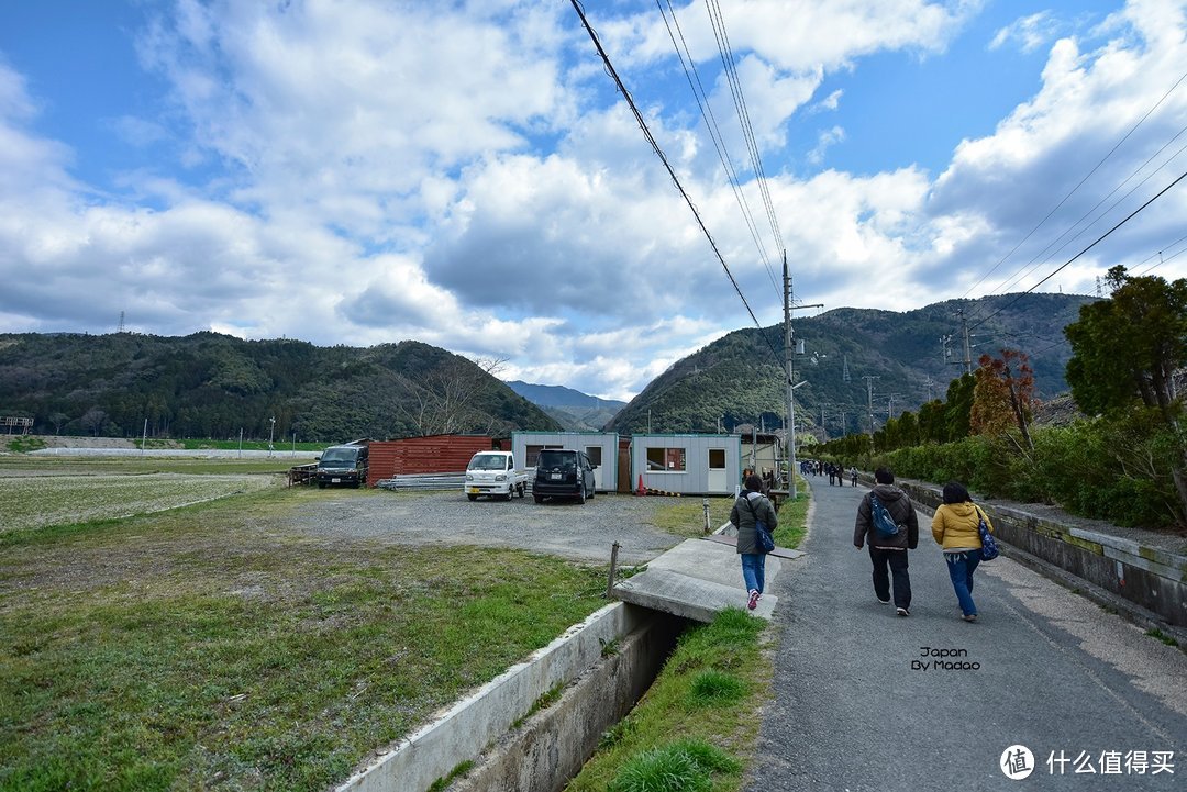 Day.8 嵯峨野—东、西本愿寺—拉面小路—金阁寺