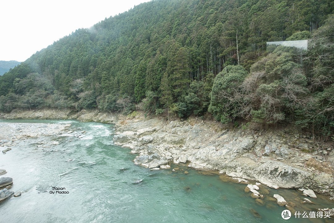 Day.8 嵯峨野—东、西本愿寺—拉面小路—金阁寺