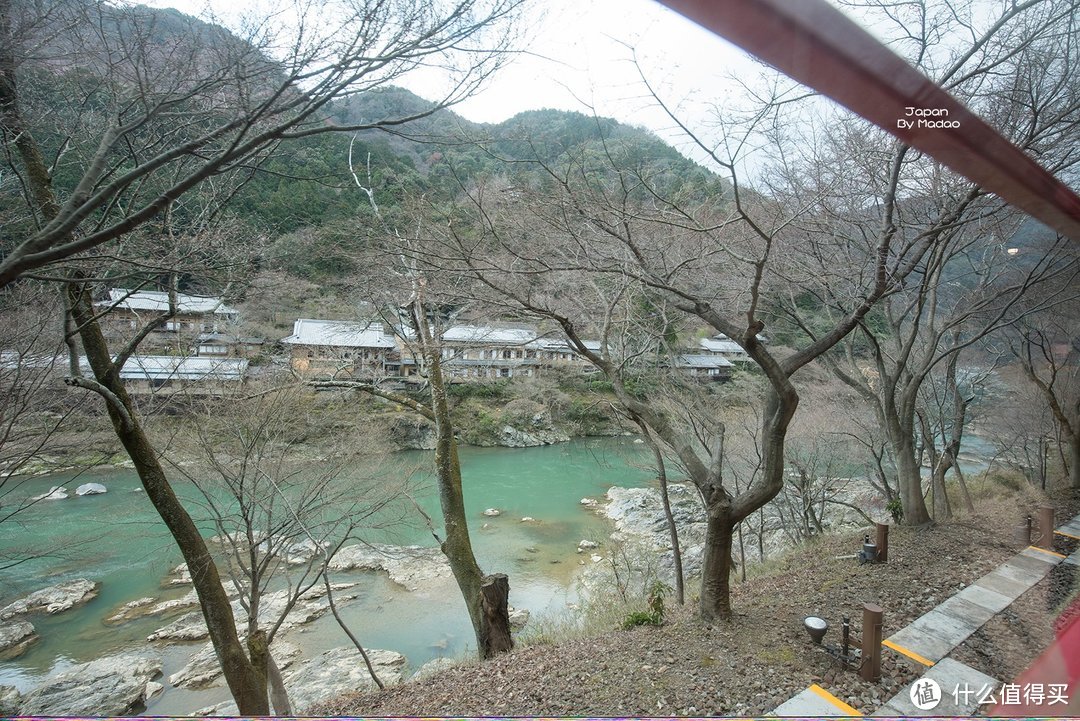 Day.8 嵯峨野—东、西本愿寺—拉面小路—金阁寺