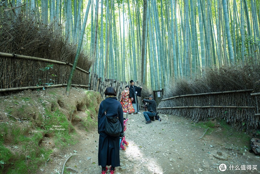 Day.8 嵯峨野—东、西本愿寺—拉面小路—金阁寺