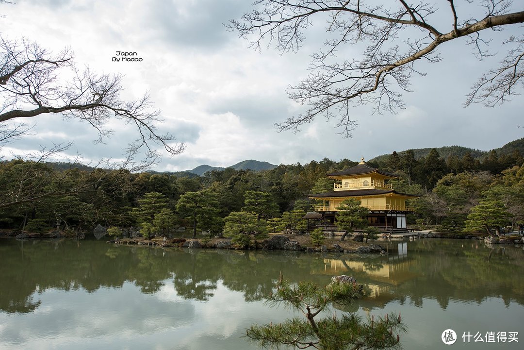 Day.8 嵯峨野—东、西本愿寺—拉面小路—金阁寺