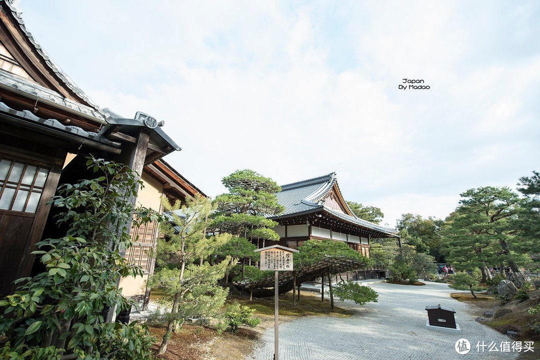 Day.8 嵯峨野—东、西本愿寺—拉面小路—金阁寺