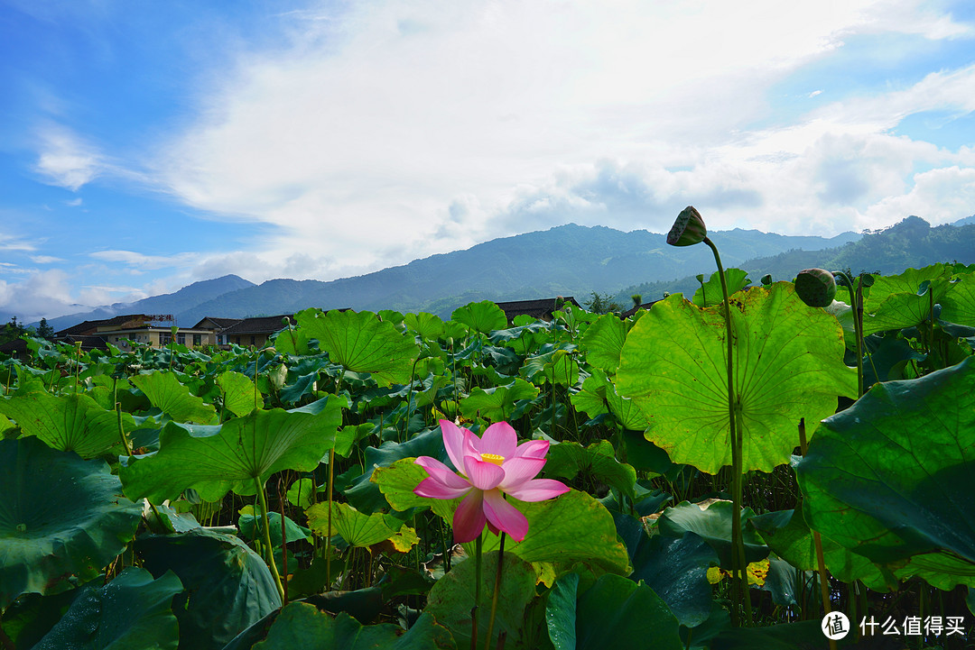 厦门不止鼓浪屿❤只请两天假，带你玩转福建两大世界遗产（下）