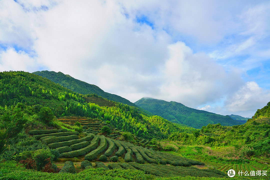 厦门不止鼓浪屿❤只请两天假，带你玩转福建两大世界遗产（下）