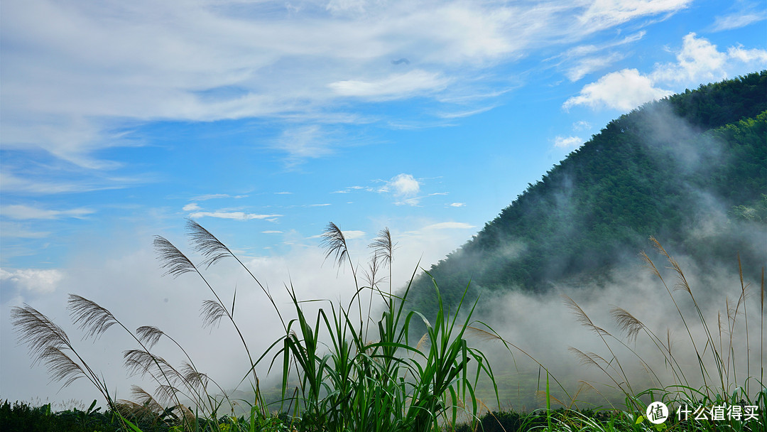 厦门不止鼓浪屿❤只请两天假，带你玩转福建两大世界遗产（下）