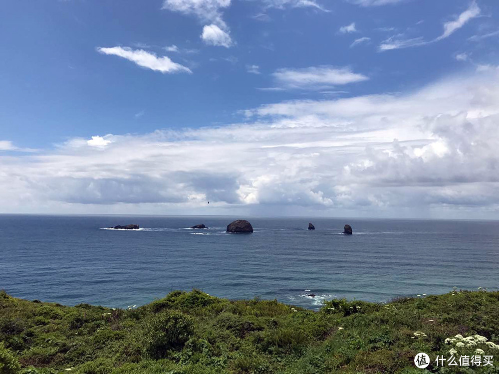 旧金山西雅图深度游+免税州买买买，一家老小美西自驾18天