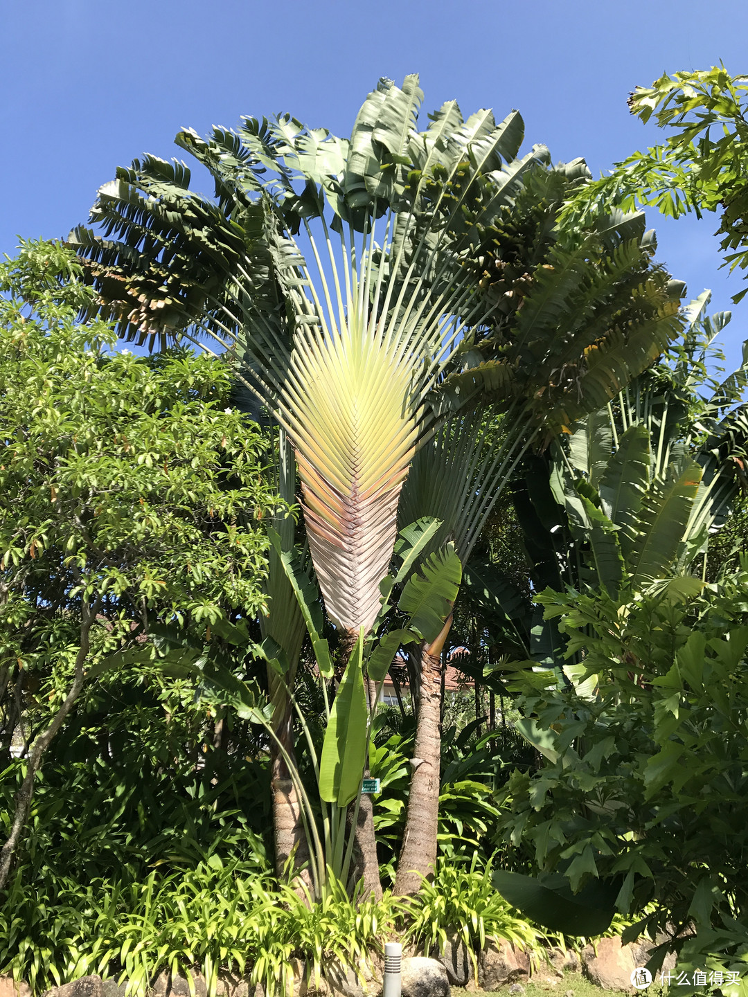 Day6-7：大年初一看舞龙逛奥莱，大年初二去曼谷