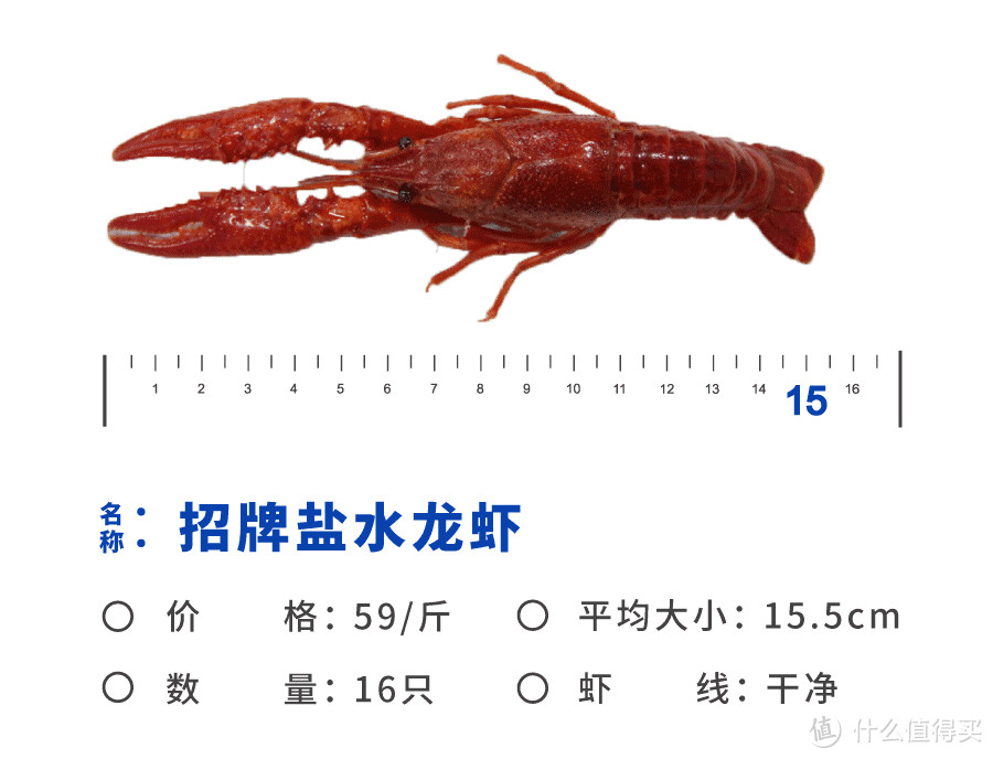 寿宁路的160米、24小时、23家龙虾店