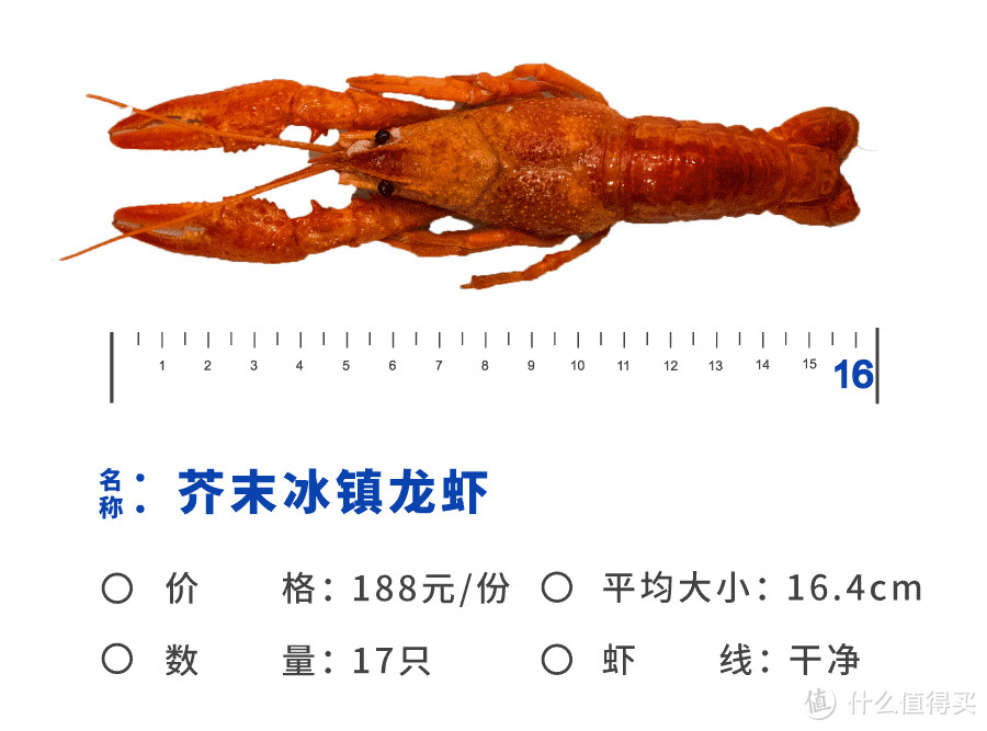 寿宁路的160米、24小时、23家龙虾店