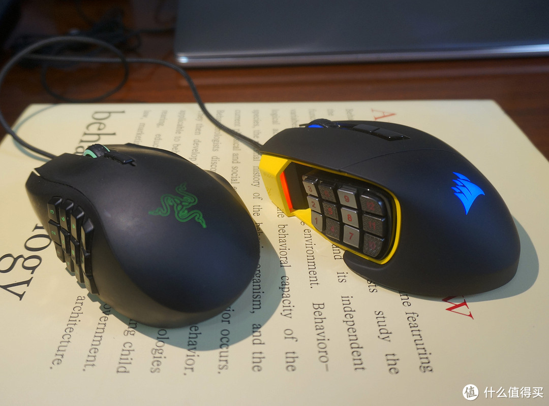 谁才是更好的“电话鼠” — Razer 雷蛇 那伽梵蛇 vs CORSAIR 美商海盗船 执法者pro游戏鼠标