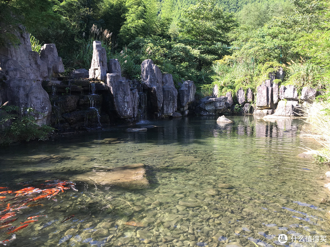 软卧往復 — 宜春温汤镇游玩二三日，已确立今后养老大方向