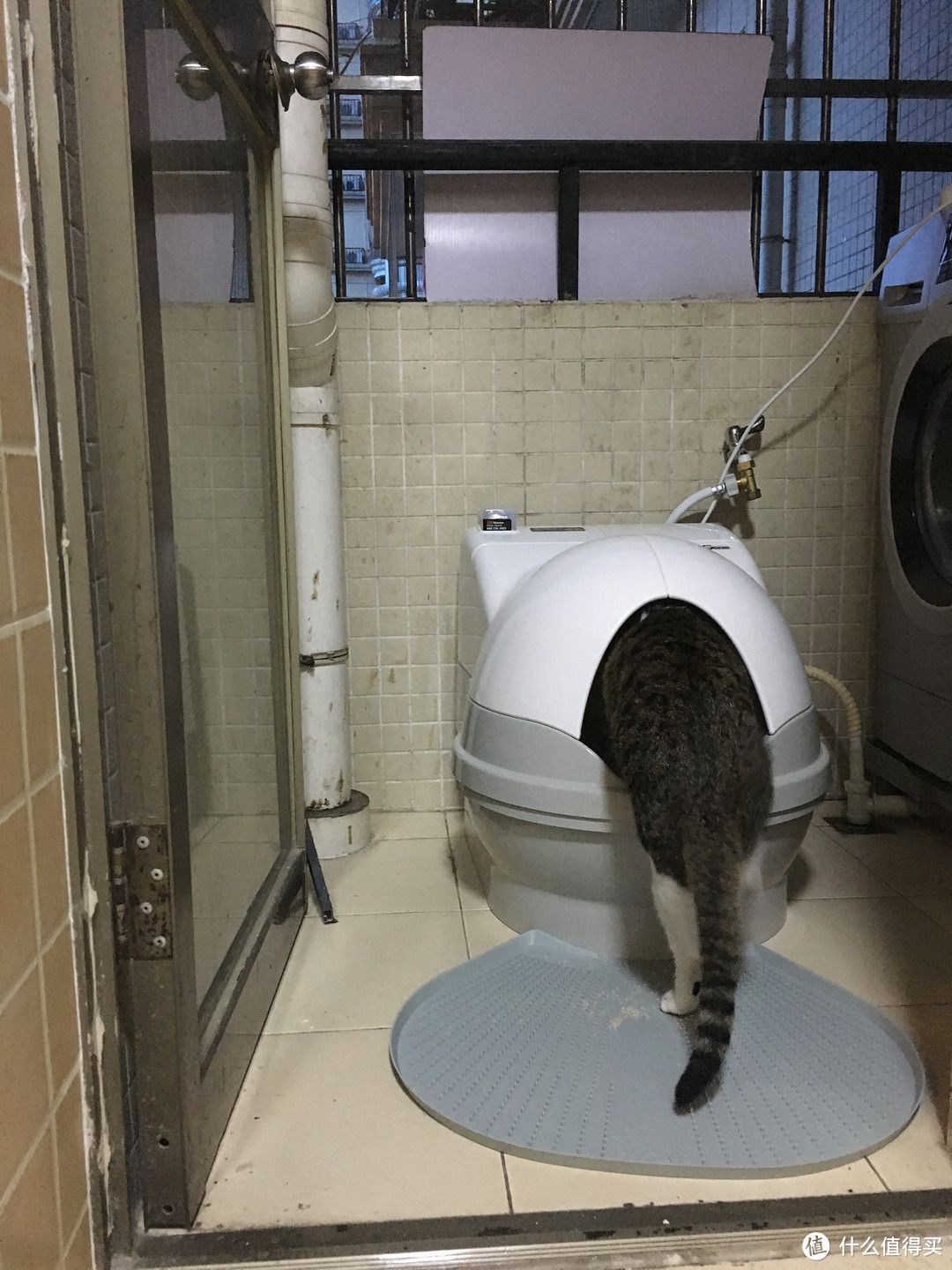 #原创新人#热征#宠物#超详细评测！美国CatGenie 猫洁易 全自动猫厕所