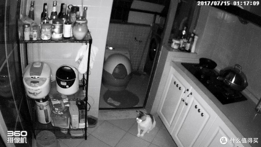 #原创新人#热征#宠物#超详细评测！美国CatGenie 猫洁易 全自动猫厕所